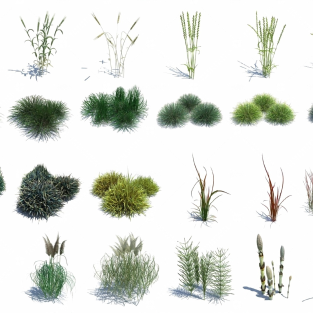 花草3D模型